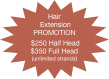 
Hair
 Extension
PROMOTION

 $250 Half Head
$350 Full Head
(unlimited strands)